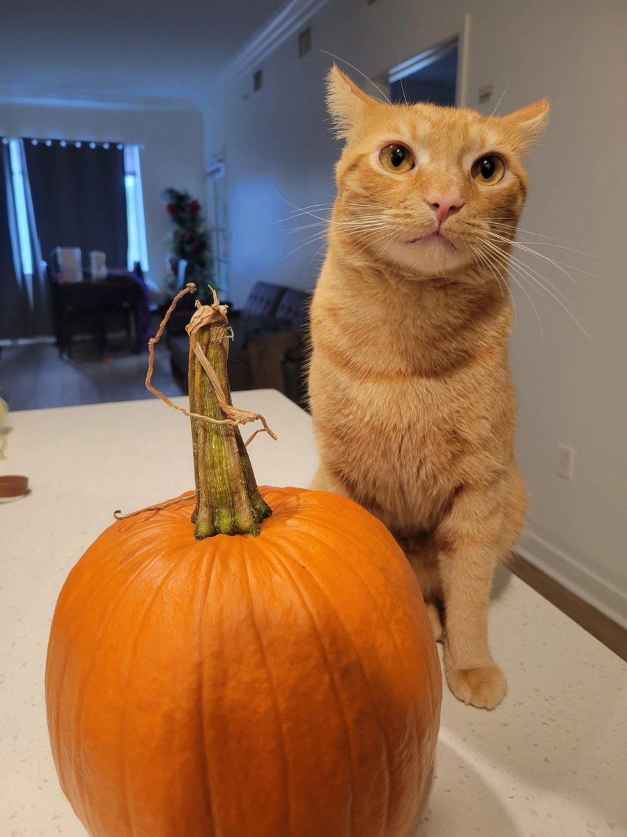 ThePhantomsith tweet media