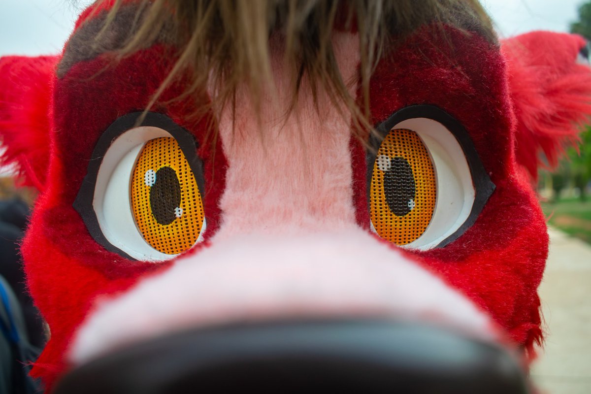 Nick Voltarie tweet media