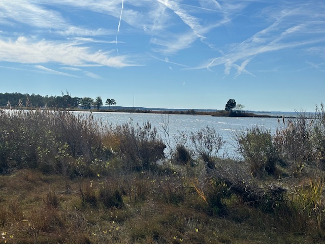 Theodore Landgraf tweet media