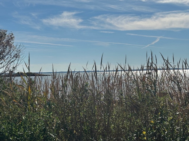 Theodore Landgraf tweet media