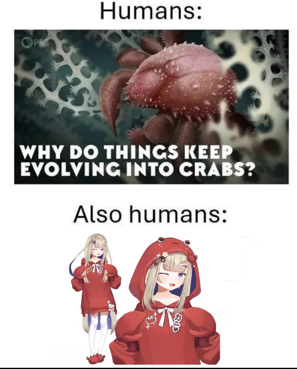 bollweevil knievel tweet media