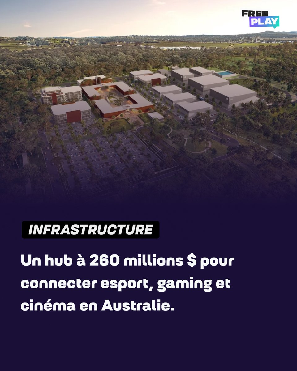 Freeplay 🎙️ tweet media