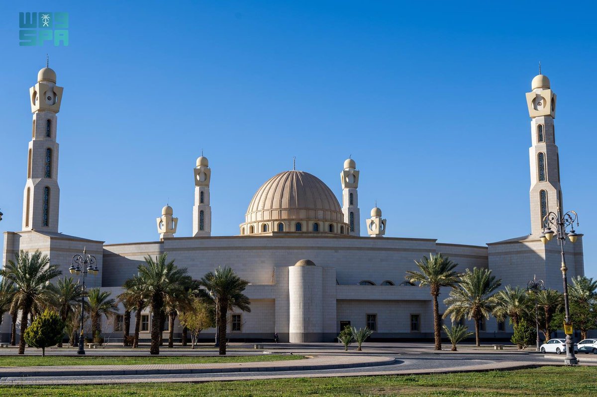 محمد آل فيه tweet media