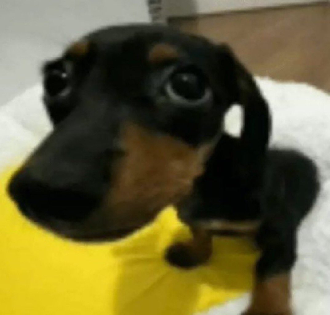 Brunos com 4 o tweet media