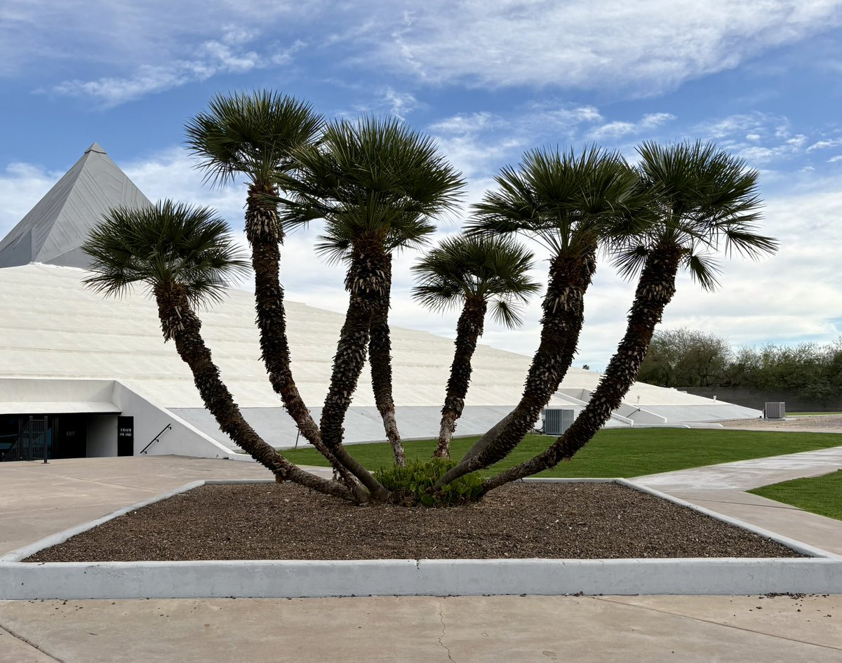 Midwest Modern tweet media