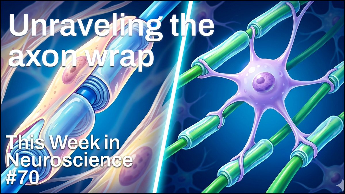 MicrobeTV tweet media