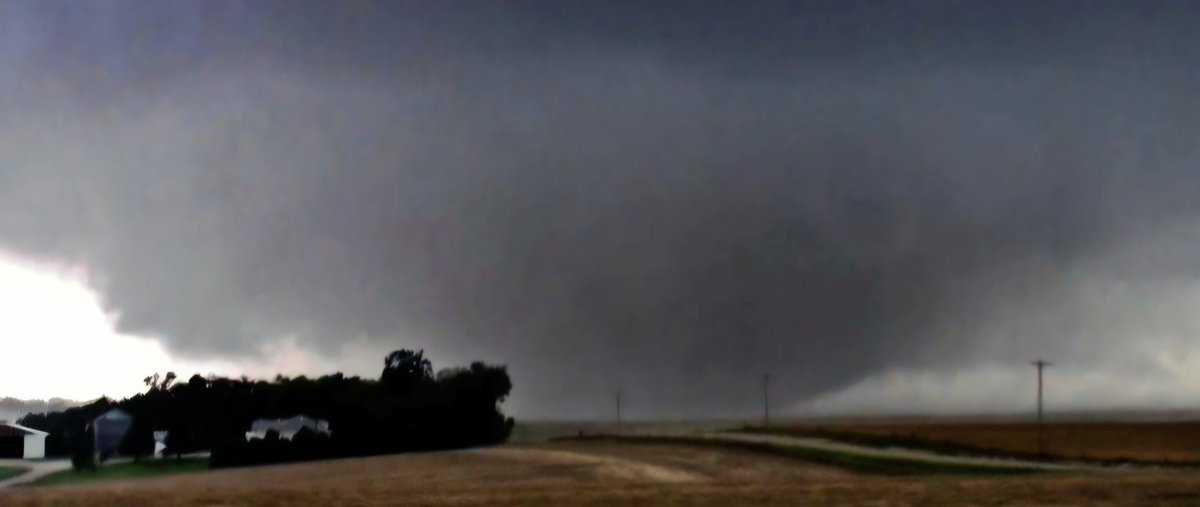 James Wilson tweet media