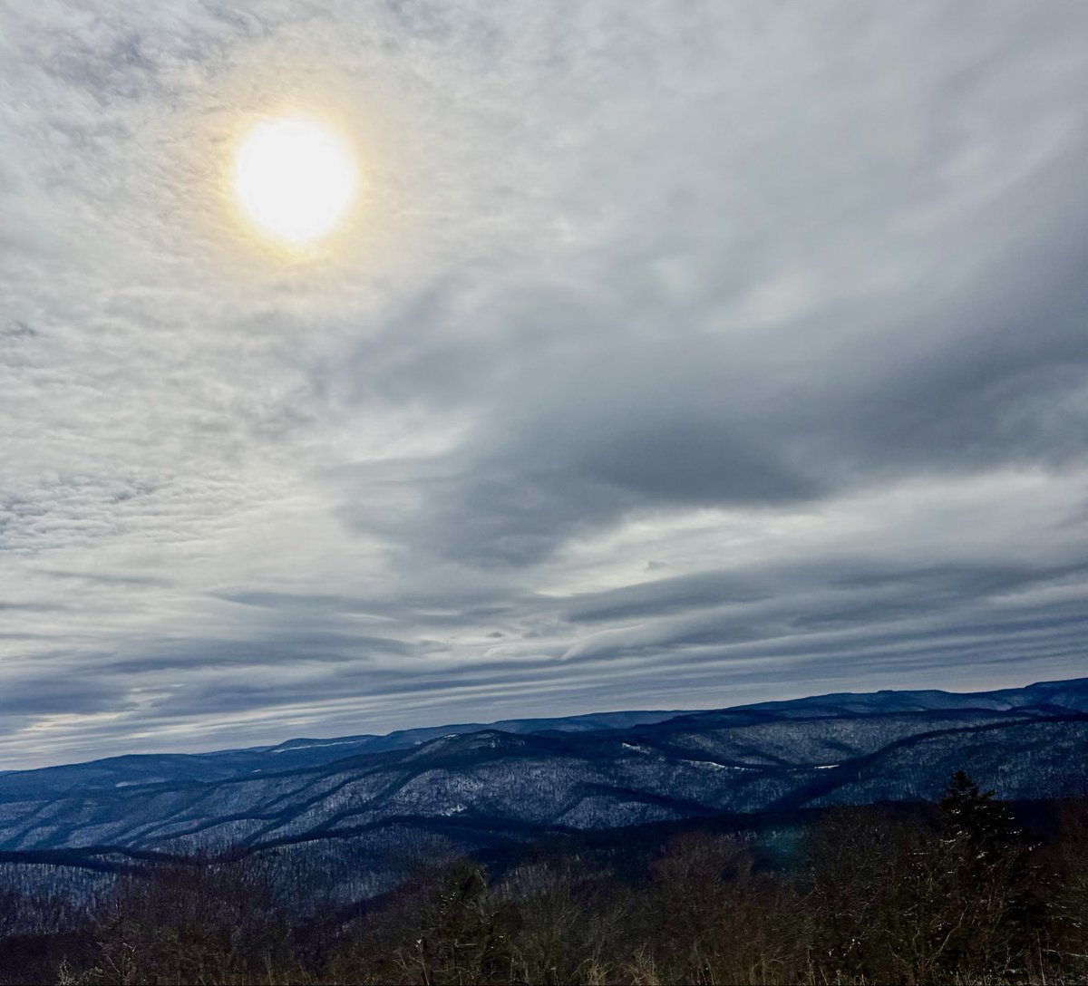 The Appalachian Podcast tweet media