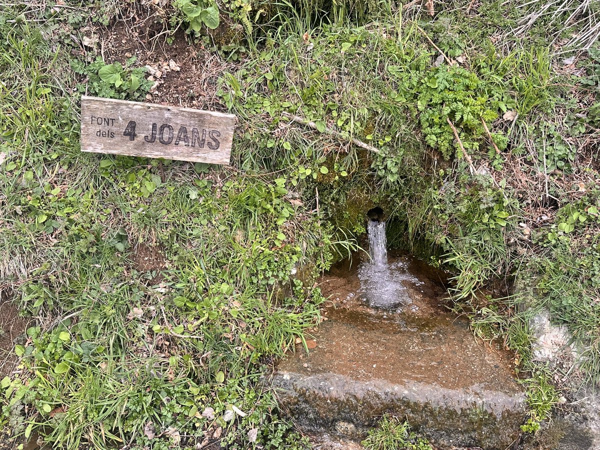 Pep Coma 🎗 tweet media