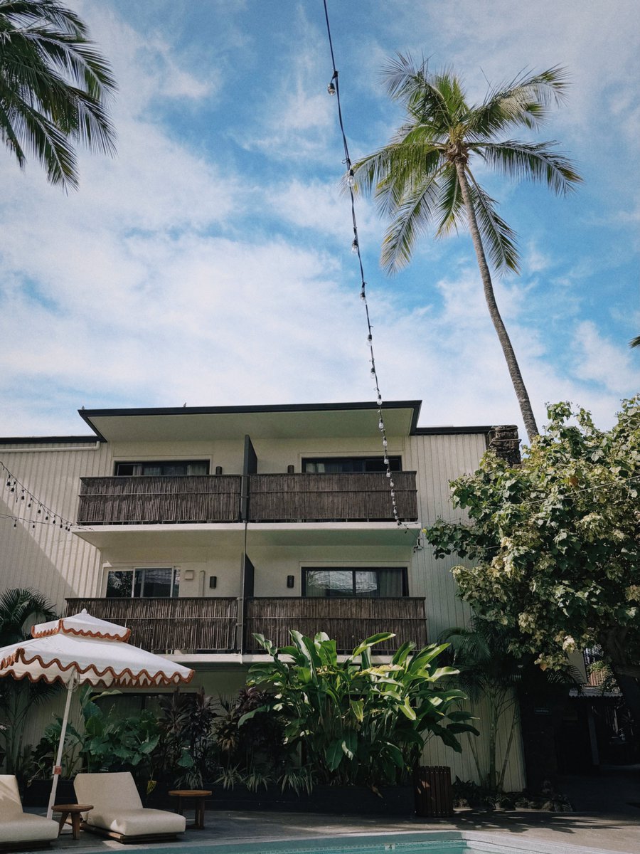 Van | UGC Creator & Creative Strategist tweet media