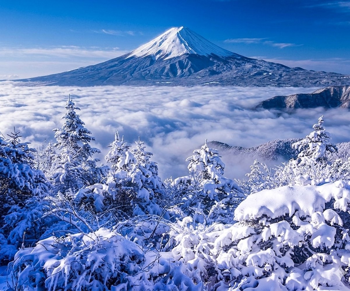 hina21no3's tweet photo. 雪晴れ爽快

新道峠で以前撮影
#富士山　#雪景色　#雲海 https://t.co/6QSYlt1nnF