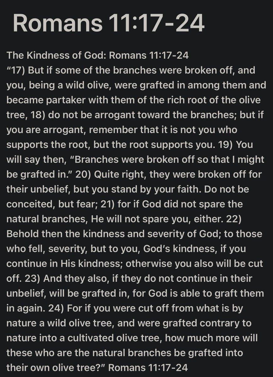 Salty Patriot™️ 🇺🇸 tweet media