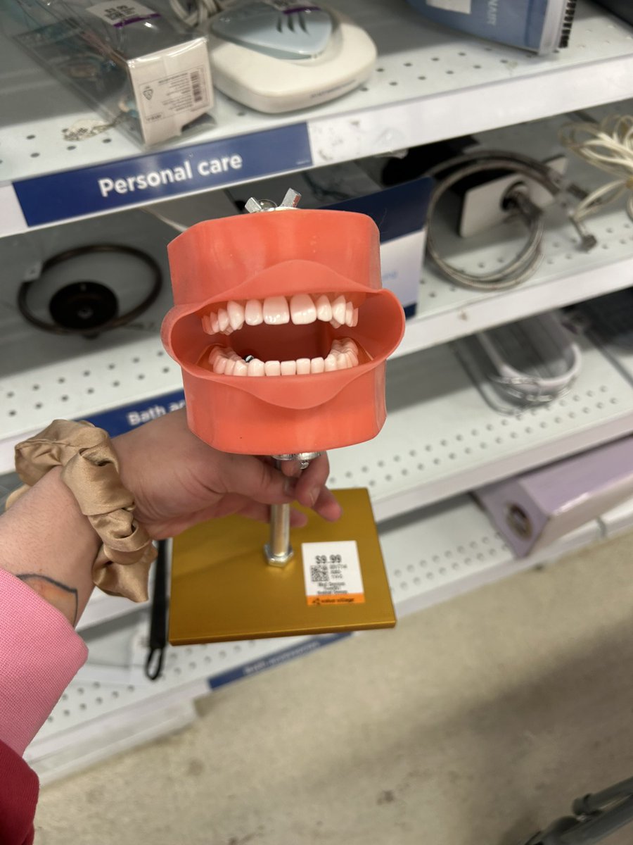 madeleine-ruth ʕ·ᴥ·ʔ tweet media