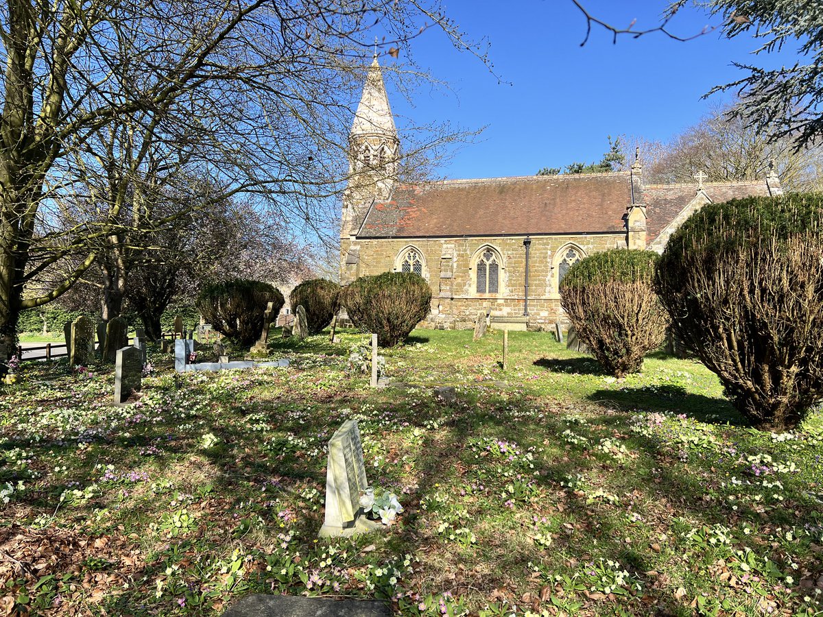 Nigel Wass tweet media