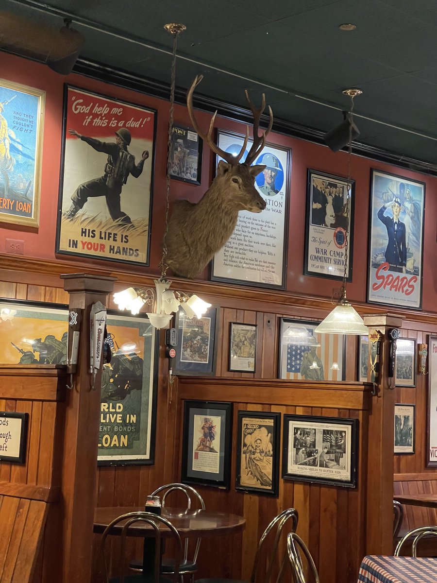 Eileen aka Alien 👽 McLaughlin 🇺🇸🇺🇦 🟦 tweet media