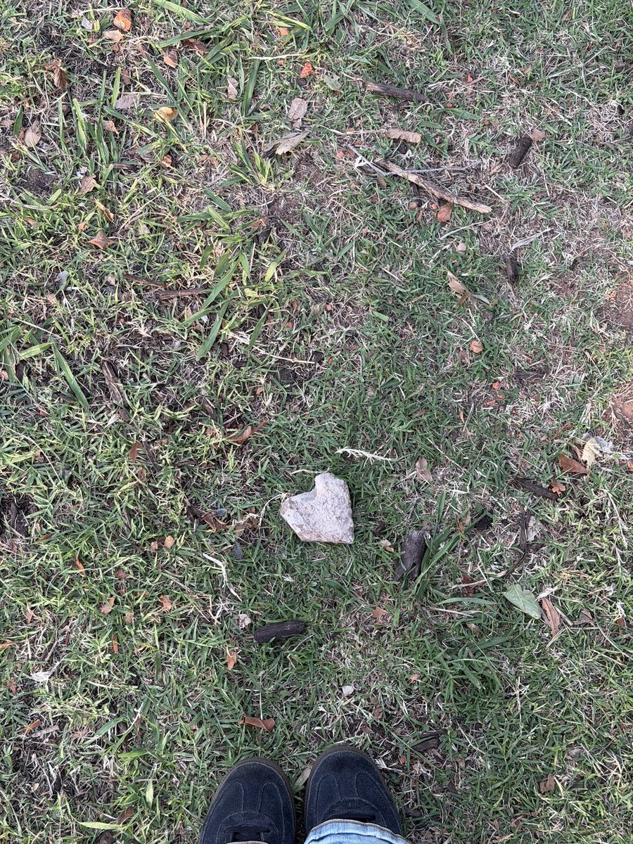 Cata Barbot tweet media