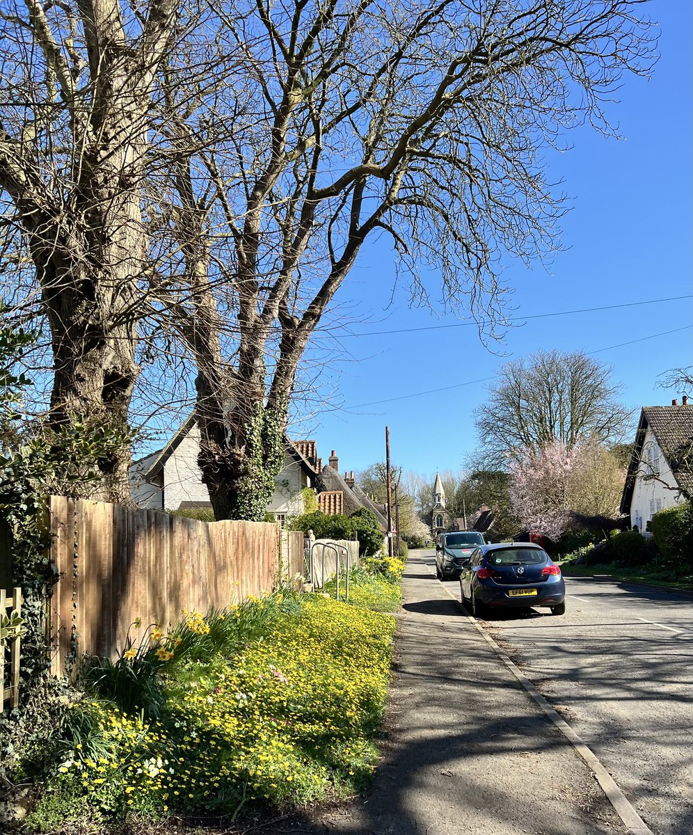 Nigel Wass tweet media