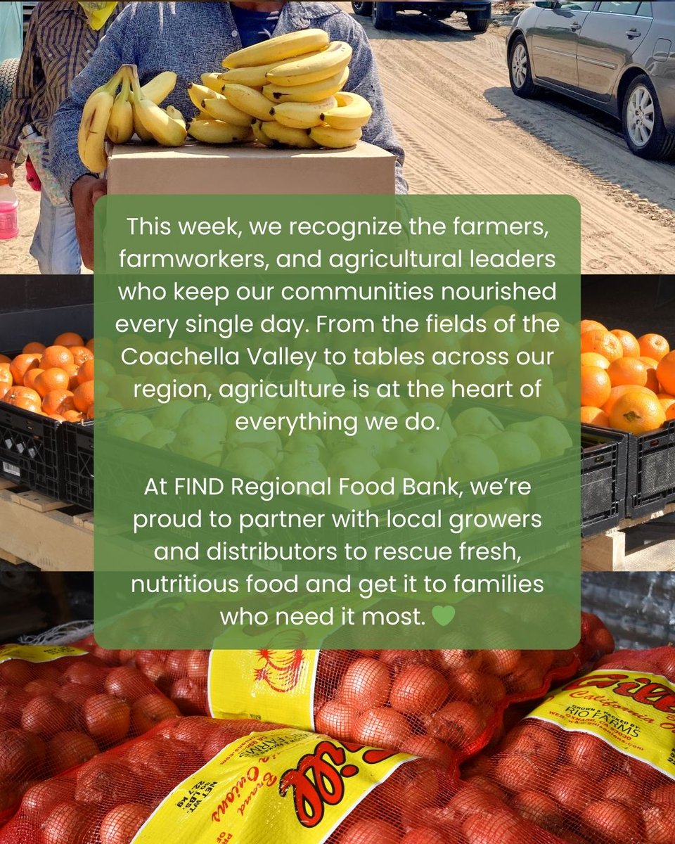 FIND Food Bank tweet media