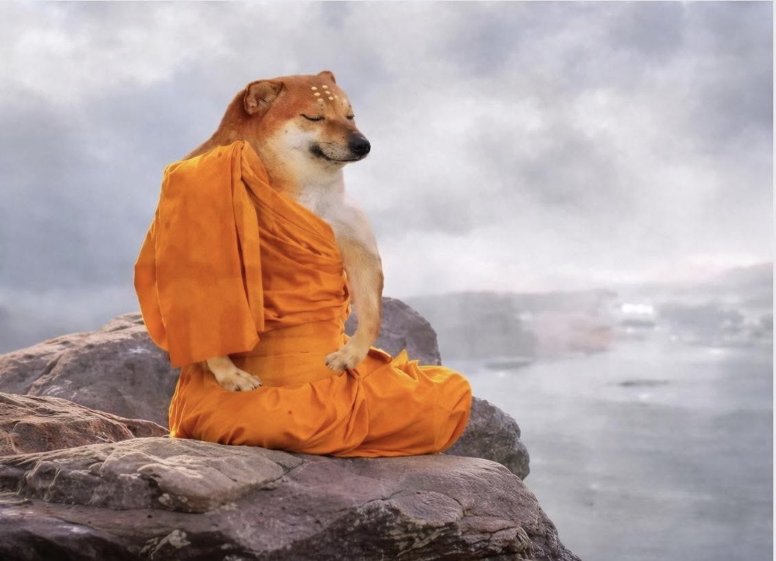 Sailor Xhavis tweet media