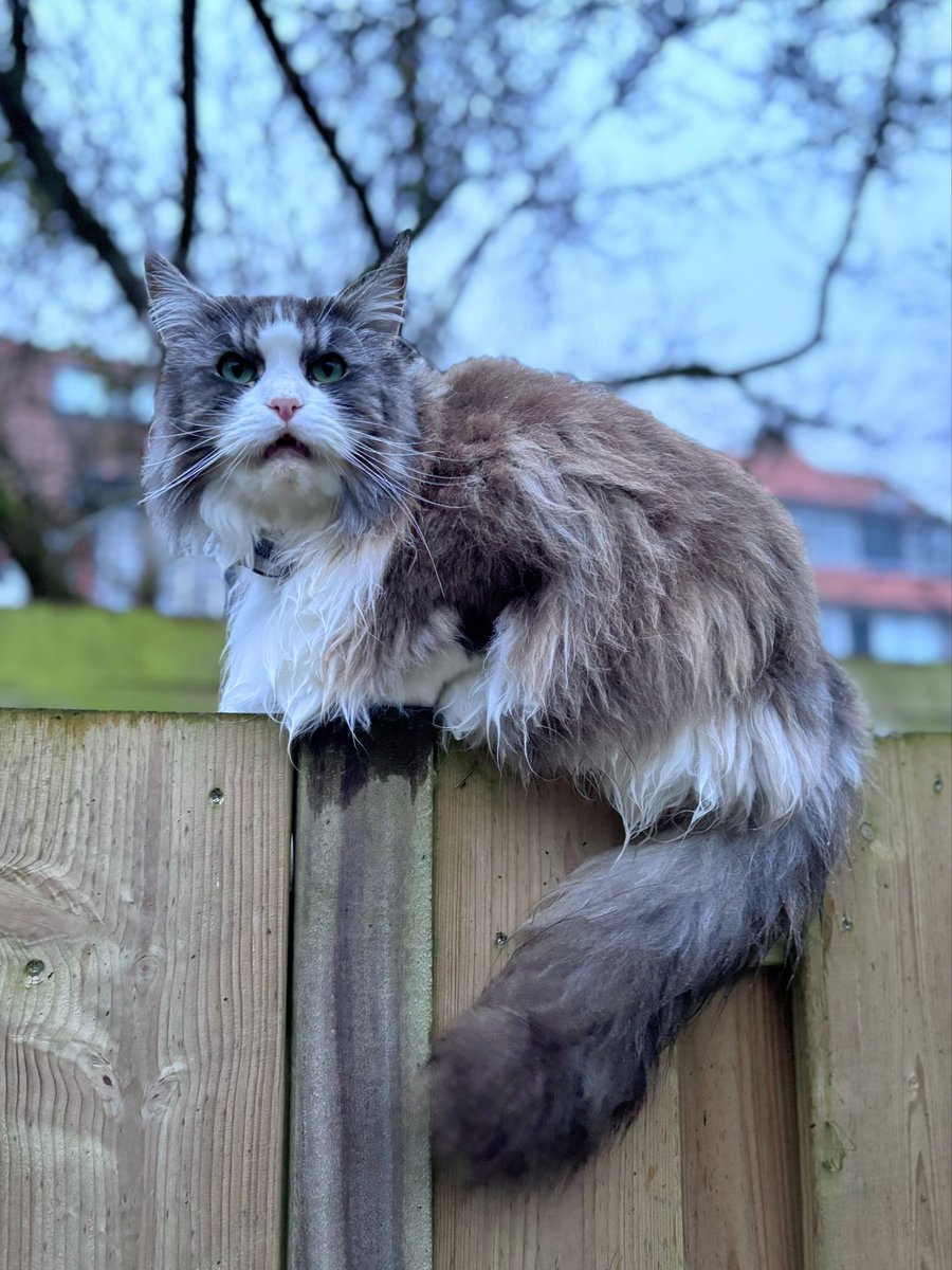 Keykisa2 tweet media