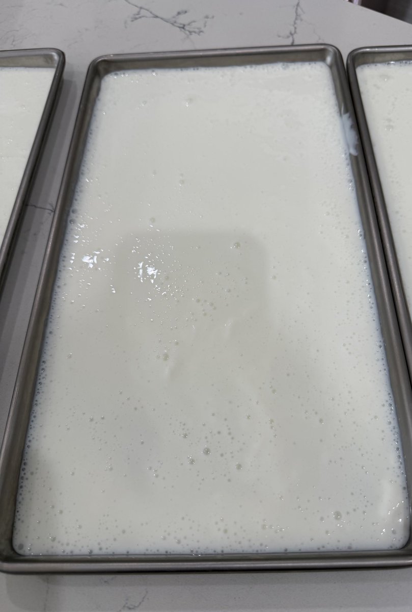 Tamara 🐊🌻 tweet media