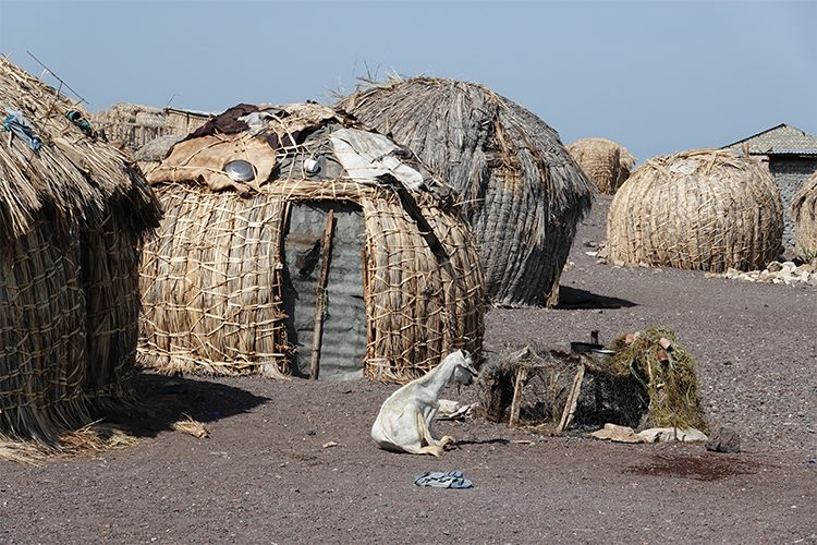 BeefCakes tweet media