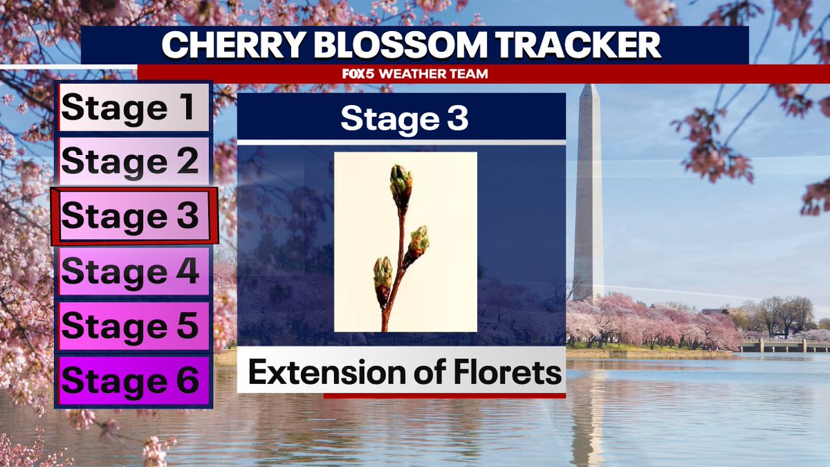 Mike Thomas tweet media