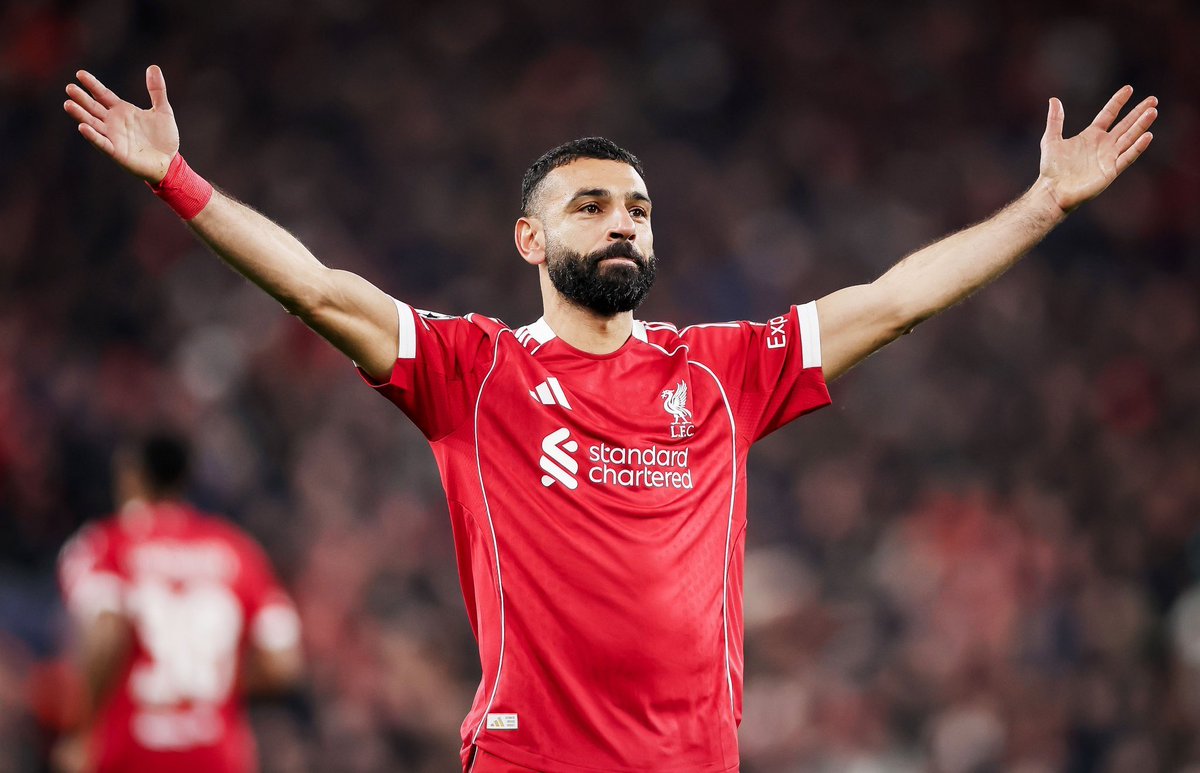الدون بيكاسو tweet media