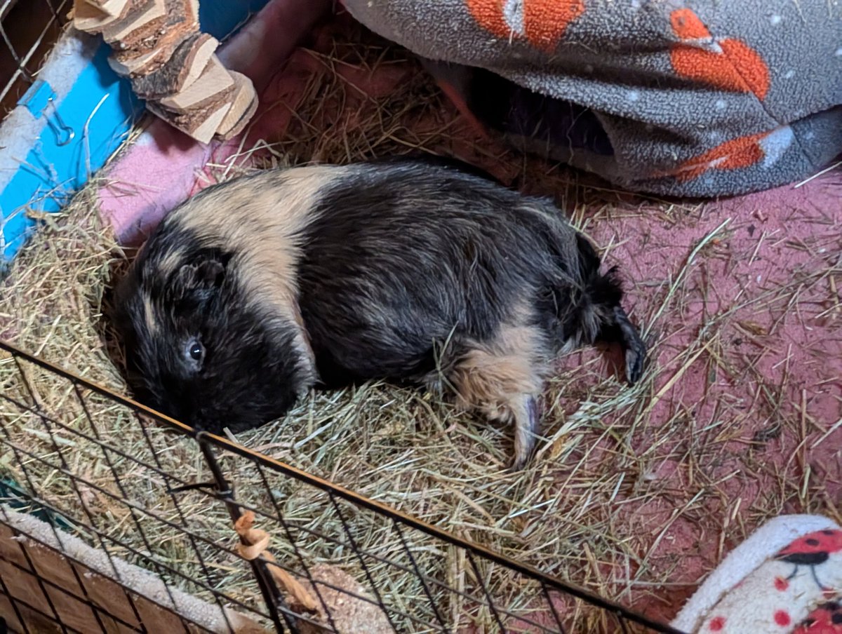 What Fleur Knows🤍💙🏴󠁧󠁢󠁥󠁮󠁧󠁿 tweet media