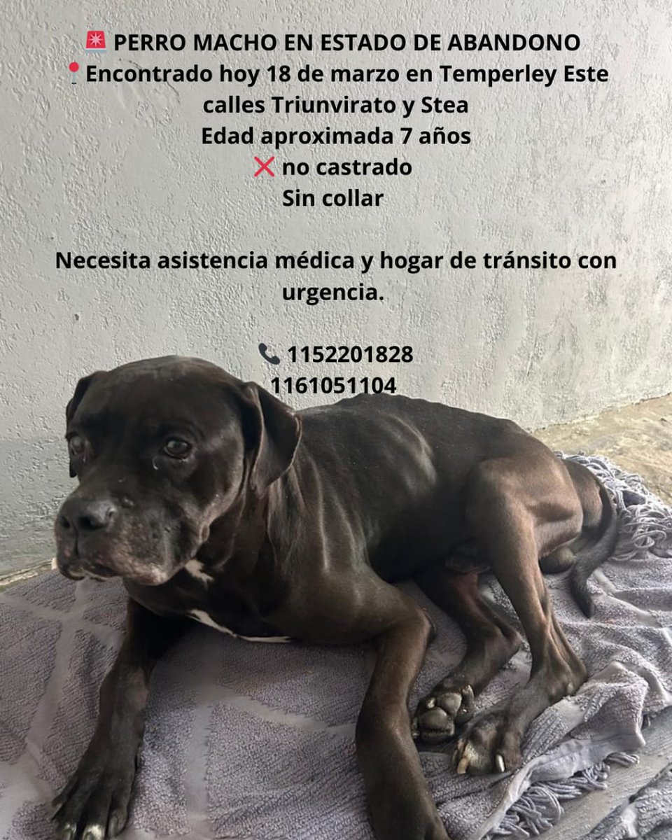 Rt
Difundimos