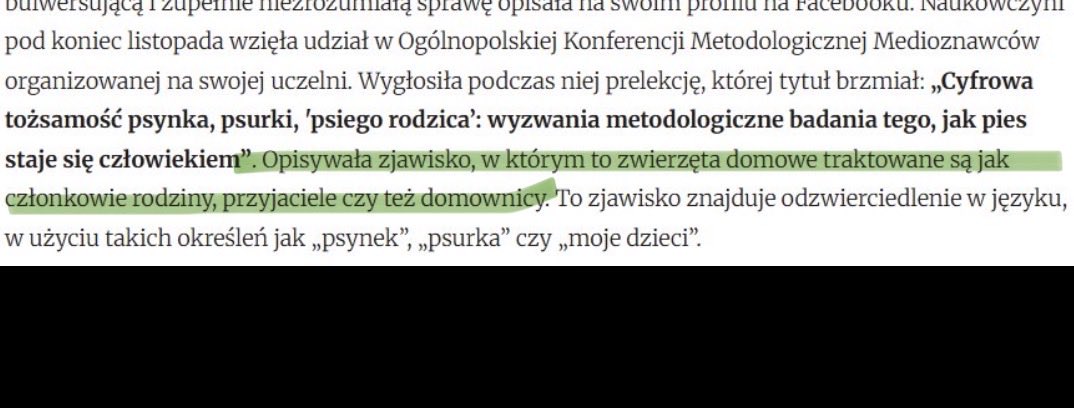 Michał tweet media