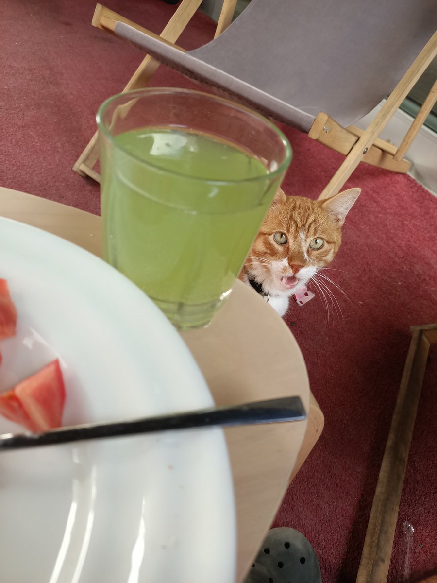 kılavatlı Paris tweet media