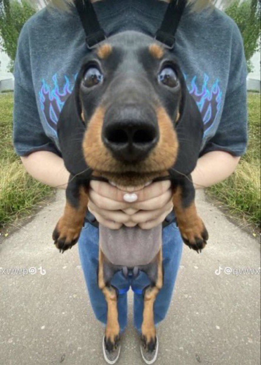 BnO 👁‍🗨ᵀᴬyᴸᴼᴿ tweet media