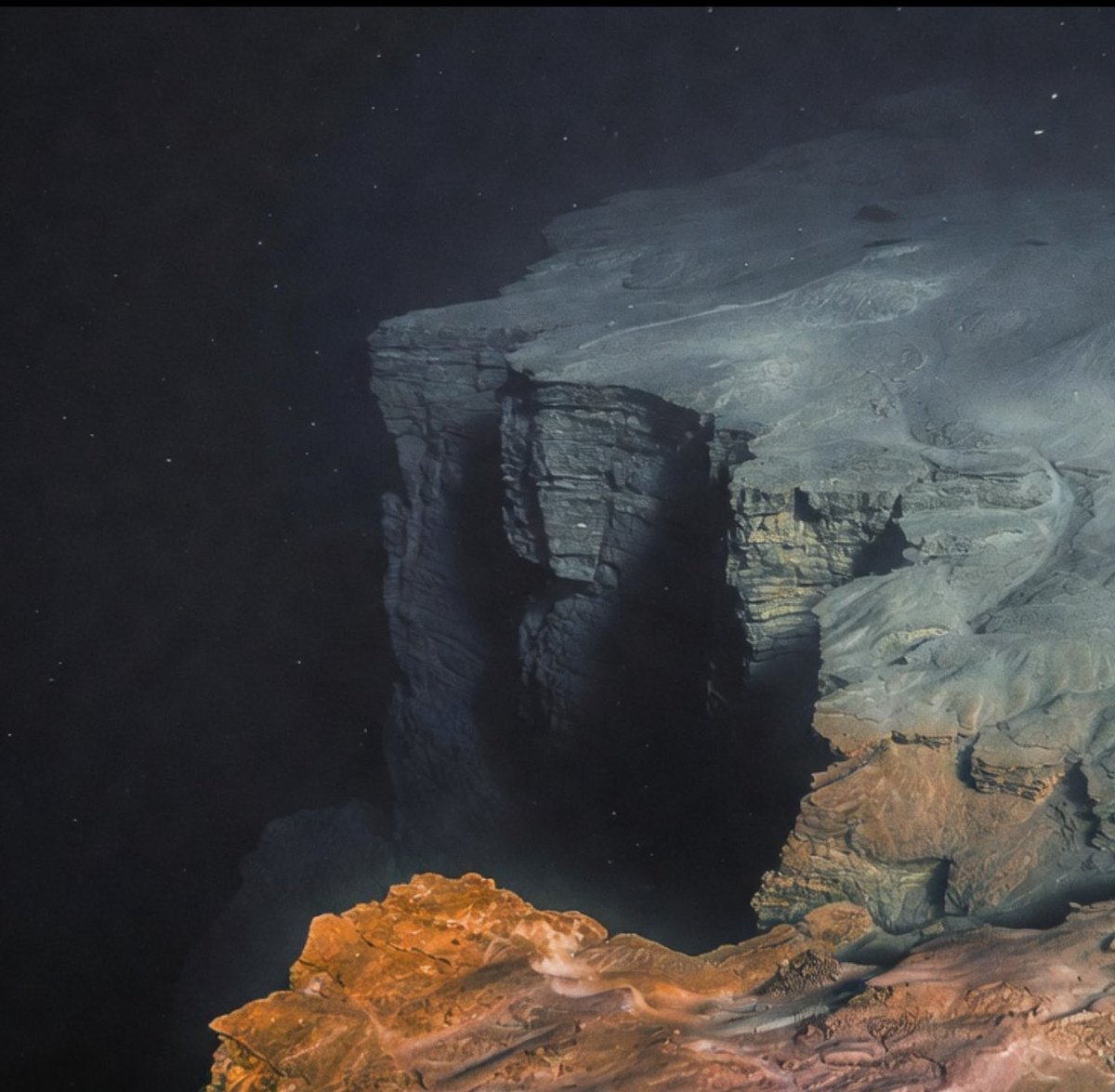 MathAndScience.com tweet media