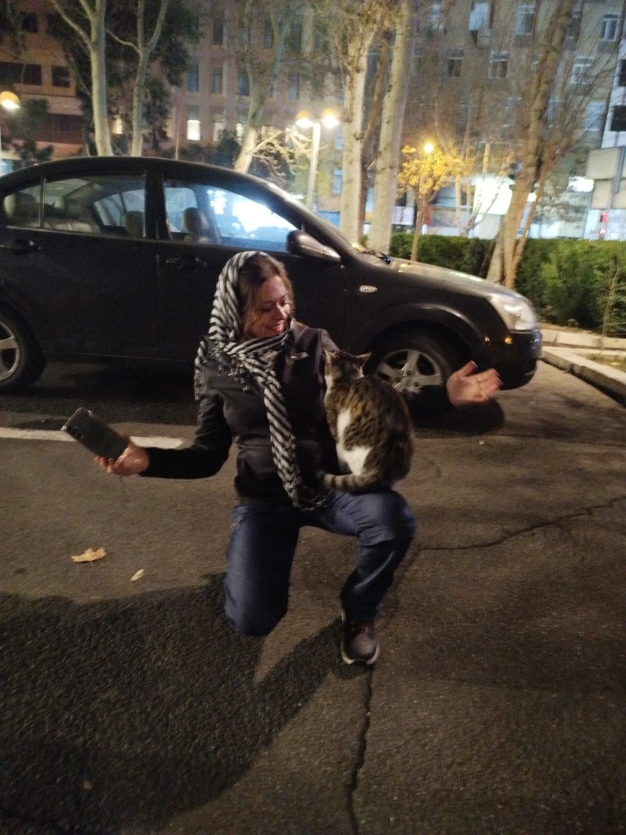 silvia guerra tweet media