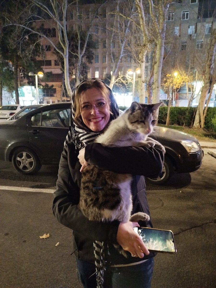 silvia guerra tweet media