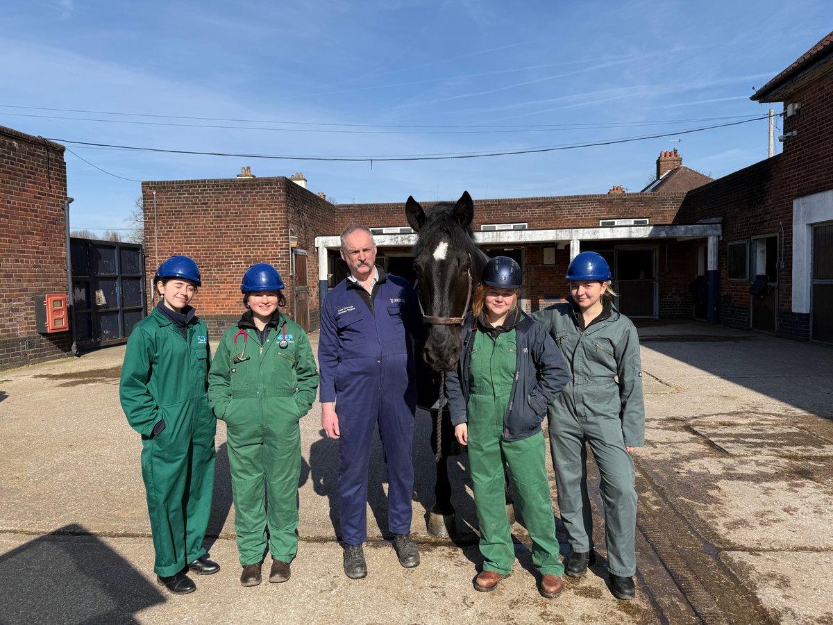 Mer Pol Mounted tweet media