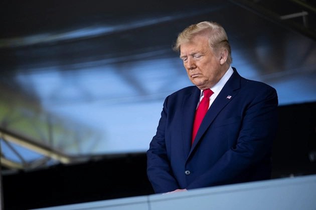 TheFrenchie tweet media