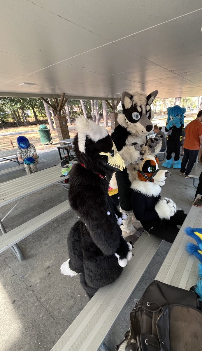 Pup_astro7's tweet photo. @That1Ziggy @appurrently @koda_shep Here’s your side angle lol https://t.co/6DPgetd2NJ