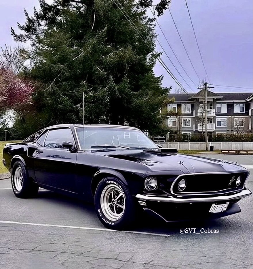 SVT_Cobras's tweet image. #ThrowbackThursday | Today’s feature Mustang is the stunning Raven black 1969 Mach1®…🖤
#Ford | #Mustang | #Mach1