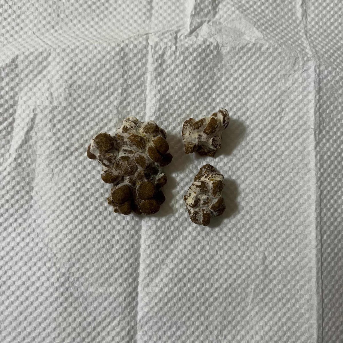 Me llaman Nicole tweet media