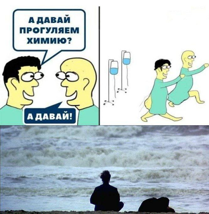 Василий Новиков tweet media