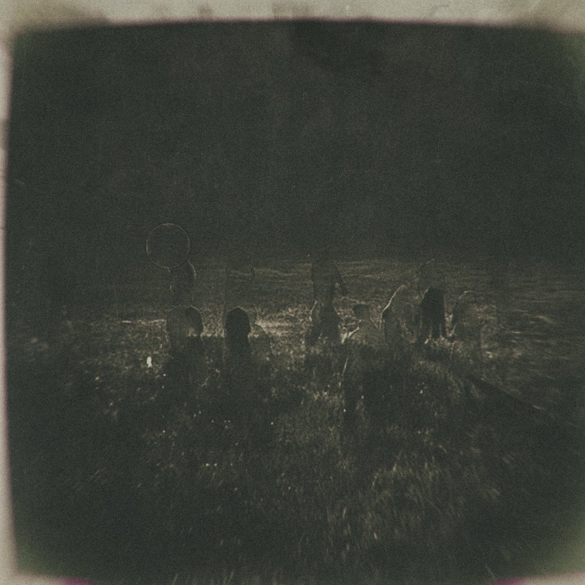 romandrits tweet media