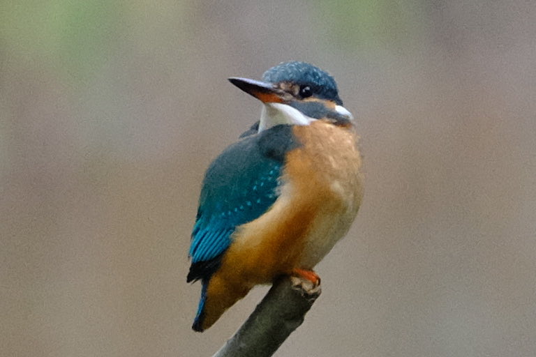 Good Evening…
#derwent #northumbria