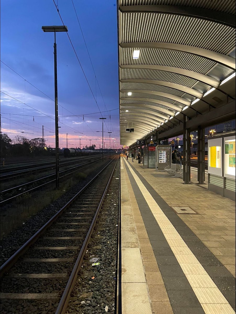 𝒆𝒍𝒚𝒓𝒂 tweet media