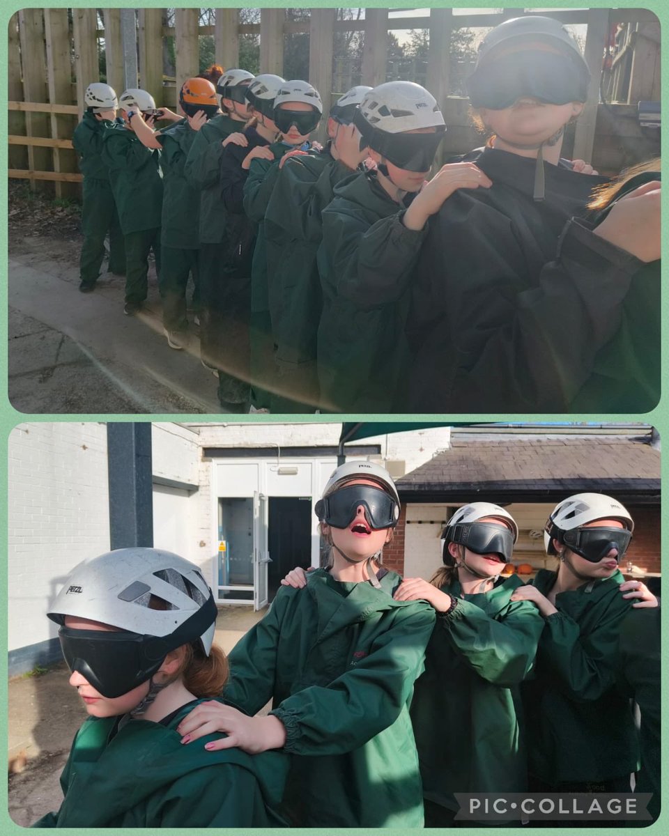 Dane Royd Year 6 tweet media