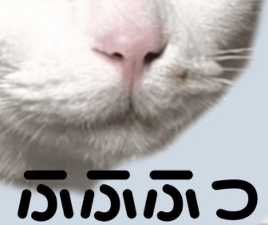 こくみんにくきゅう会Lab tweet media