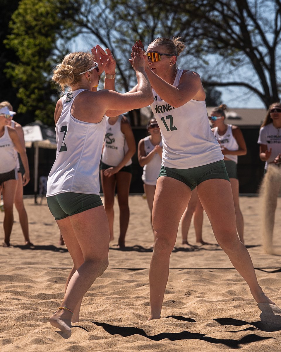 Sacramento State Volleyball tweet media