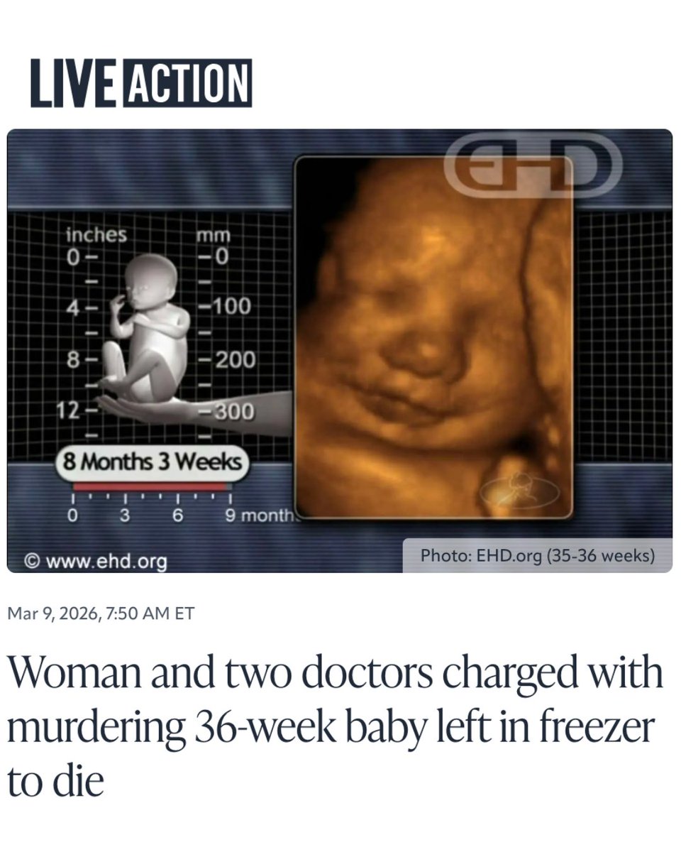 Live Action tweet media