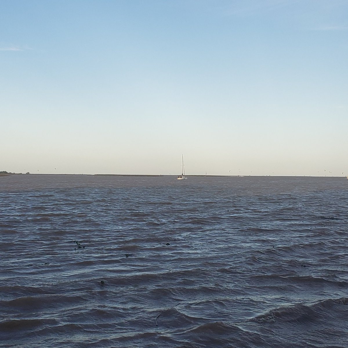 Daniel Revol tweet media